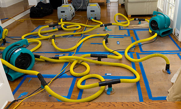 Professional Structural Drying And Dehumidification technician working in Tilden, TX